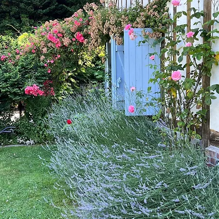 La D'hote De Manou En Normandie 3*