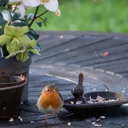 La D'hote De Manou En Normandie Bed & Breakfast La Noe-Poulain